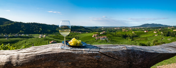 Vini di Qualità a Prezzi Giusti